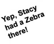 Yep, Stacy had a Zebra there!
